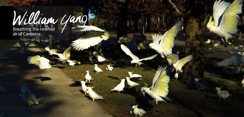 1156_Canberra museum and Gallery 10.jpg