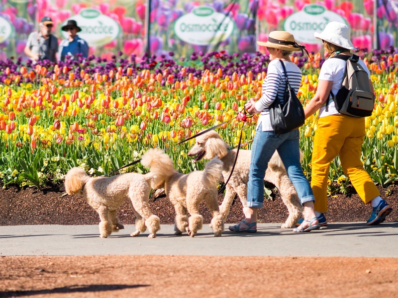 1065_Floriade 2015 6.jpg