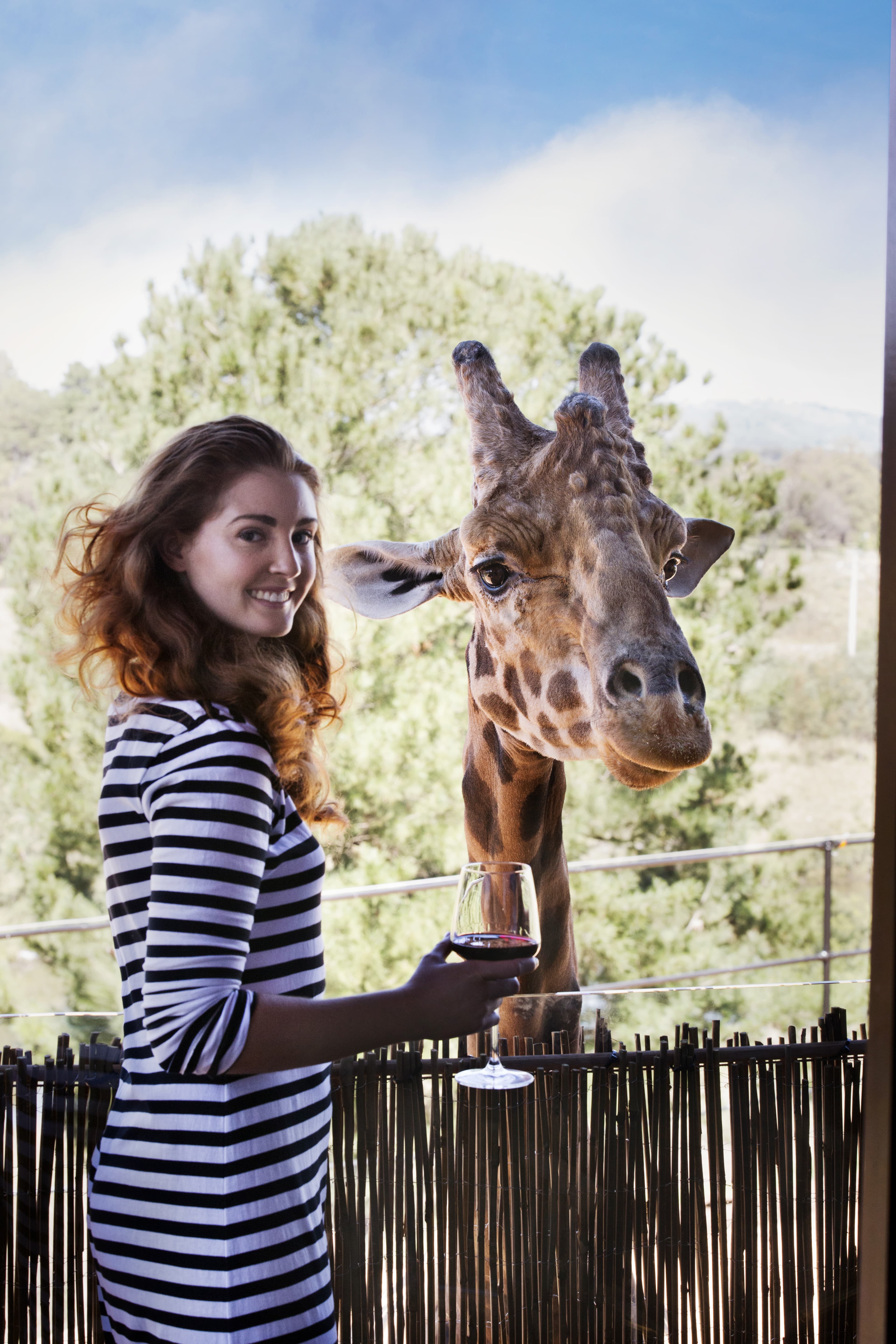 Category 19_1128_Jamala Wildlife Lodge 6.jpg