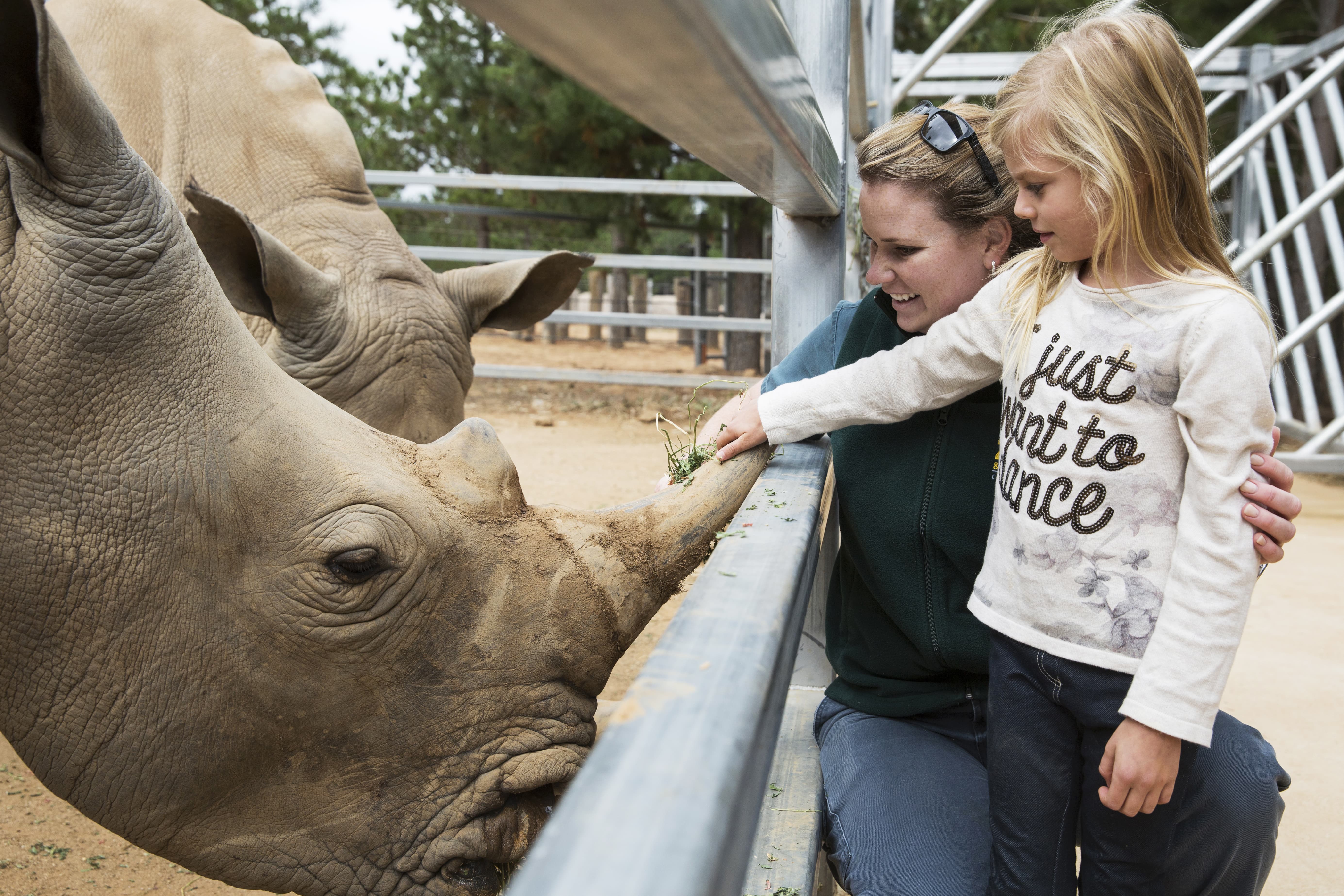 Category 19_1128_Jamala Wildlife Lodge 9.jpg