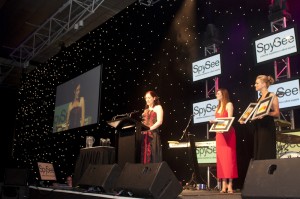 Visitor Experience Award